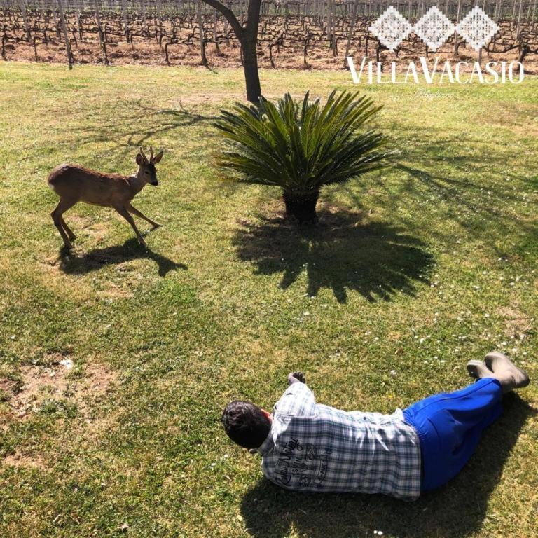 Agriturismo Eco-Bio Villa Vacasio Πιτιλιάνο Εξωτερικό φωτογραφία